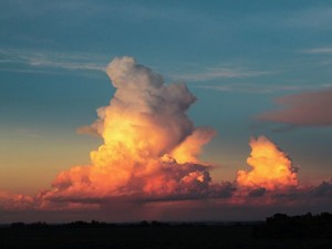 勉強のため、友達のため、私は祖母の財布からお金を盗んだ