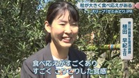 香川県農業生産流通課／植田早紀 主任