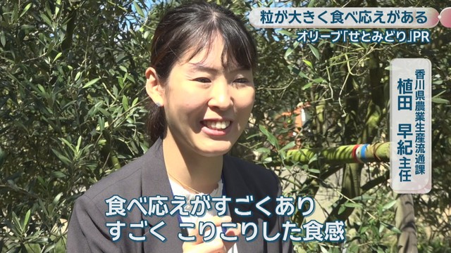 香川県農業生産流通課／植田早紀 主任