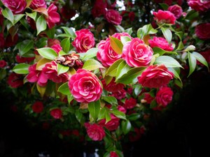 ネットの情報だけに頼らず、自分だけの「恋愛白書」を見つけるまで