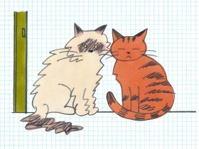 同じ空間にいても仲間だと認めていない？　集団生活を送るネコの本音をホルモンで調査