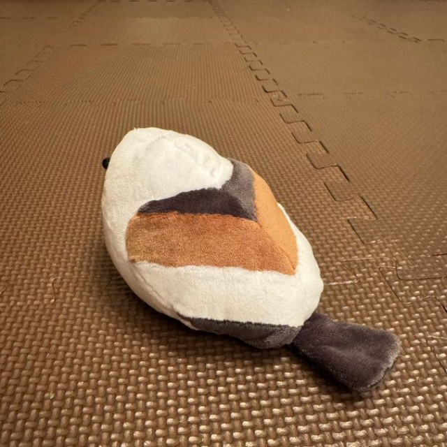 北川景子（@KKeiko_official）さんのXより