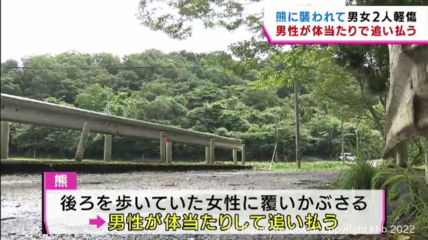 仙台市で熊に襲われ４０代男女２人軽傷　男性が体当たりで熊を追い払う | khb東日本放送