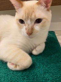 豆太くん（あきひろさん提供）