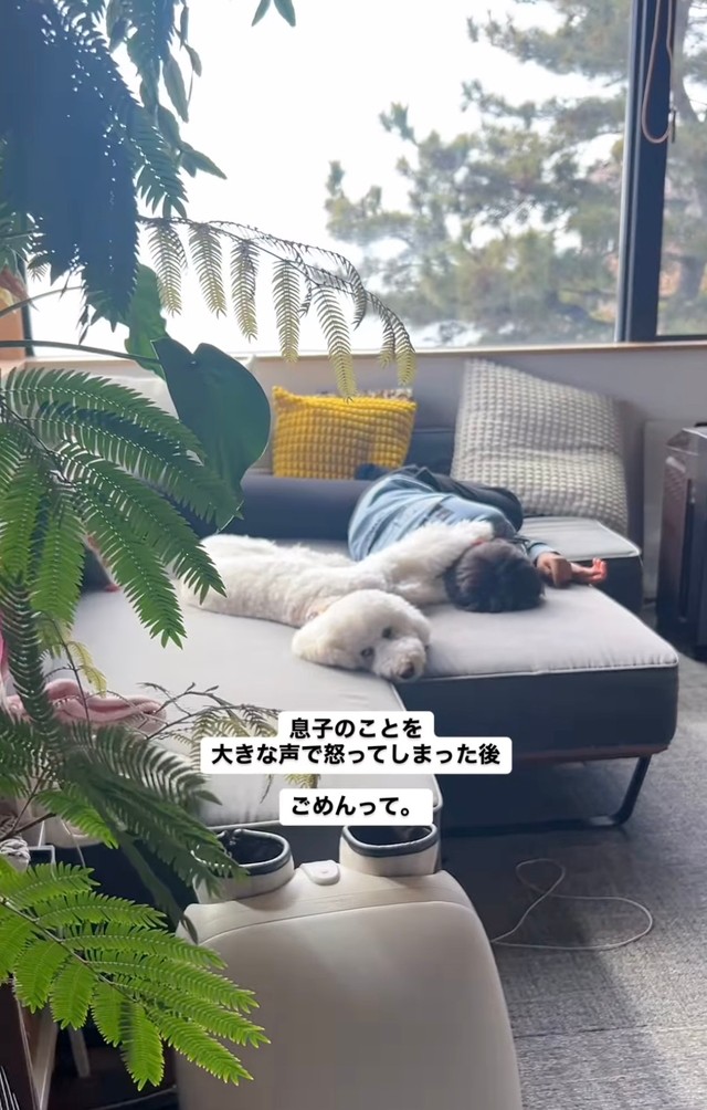普段は穏やかで吠えることもない福ちゃんの厳しい表情にママも驚き…！（提供：＠fuku.fukudogさん）
