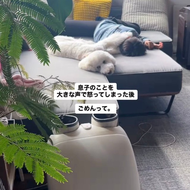 普段は穏やかで吠えることもない福ちゃんの厳しい表情にママも驚き…！（提供：＠fuku.fukudogさん）
