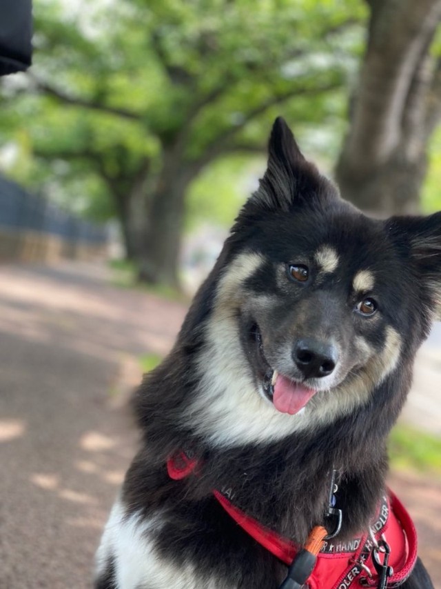 散歩中、にっこり笑みを浮かべるみかんちゃん（画像提供：うーさんみーさん）