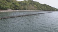 「安戸池に生きる～塩業・漁業・ハマチ養殖の歴史～」展　7月15日から　東かがわ市歴史民俗資料館　香川