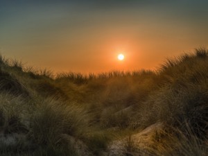 失恋から立ち直らせてくれたのは、私なんか見ていない太陽の塔だった