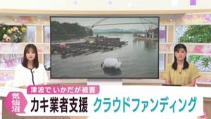 津波で被害　カキ養殖業者の支援資金をクラウドファンディングで募る　宮城・気仙沼市