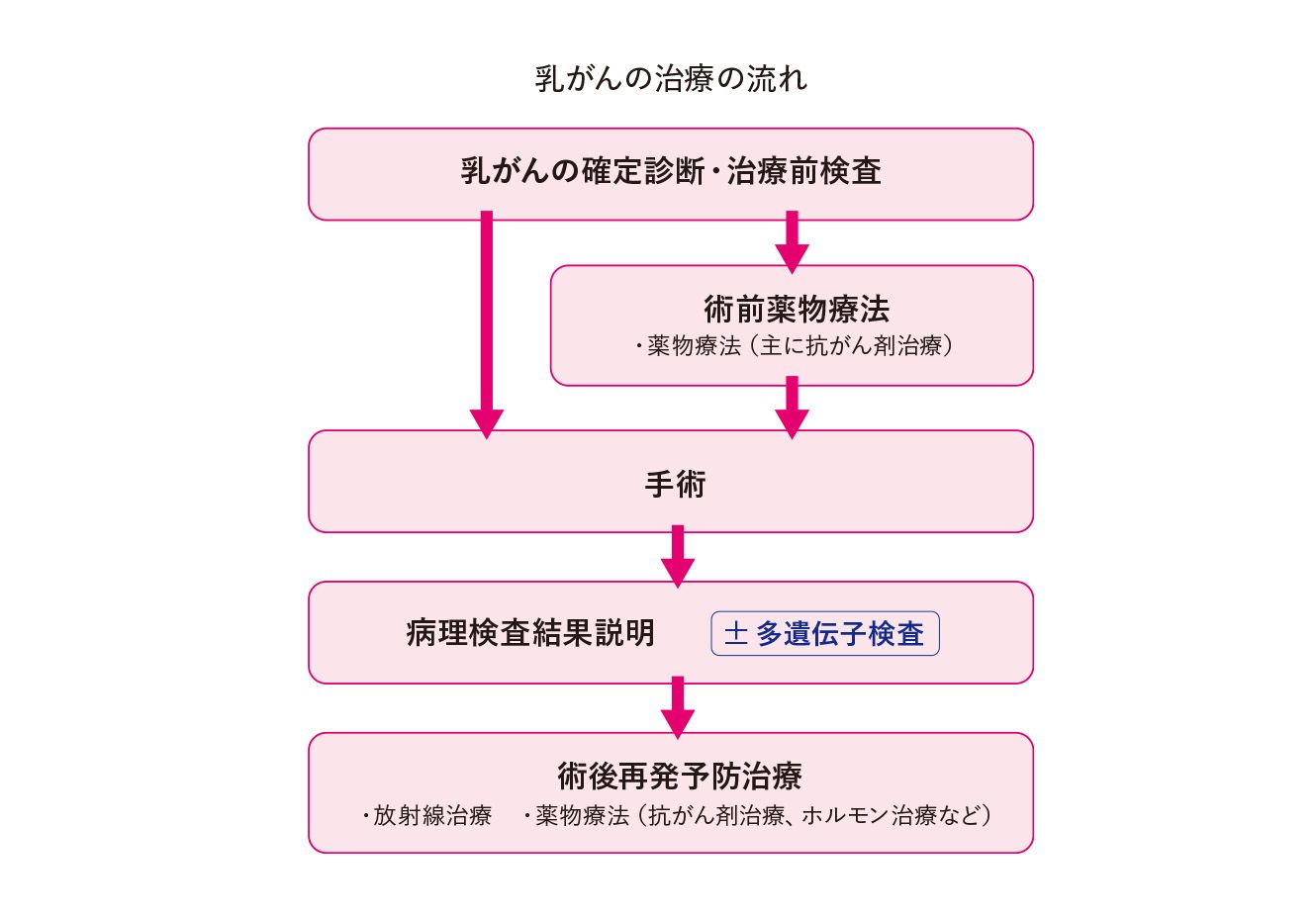 エグザクトサイエンス・表：乳がんの治療の流れ