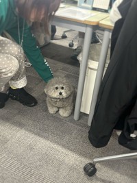 おこられた時に逃げ込む場所は...