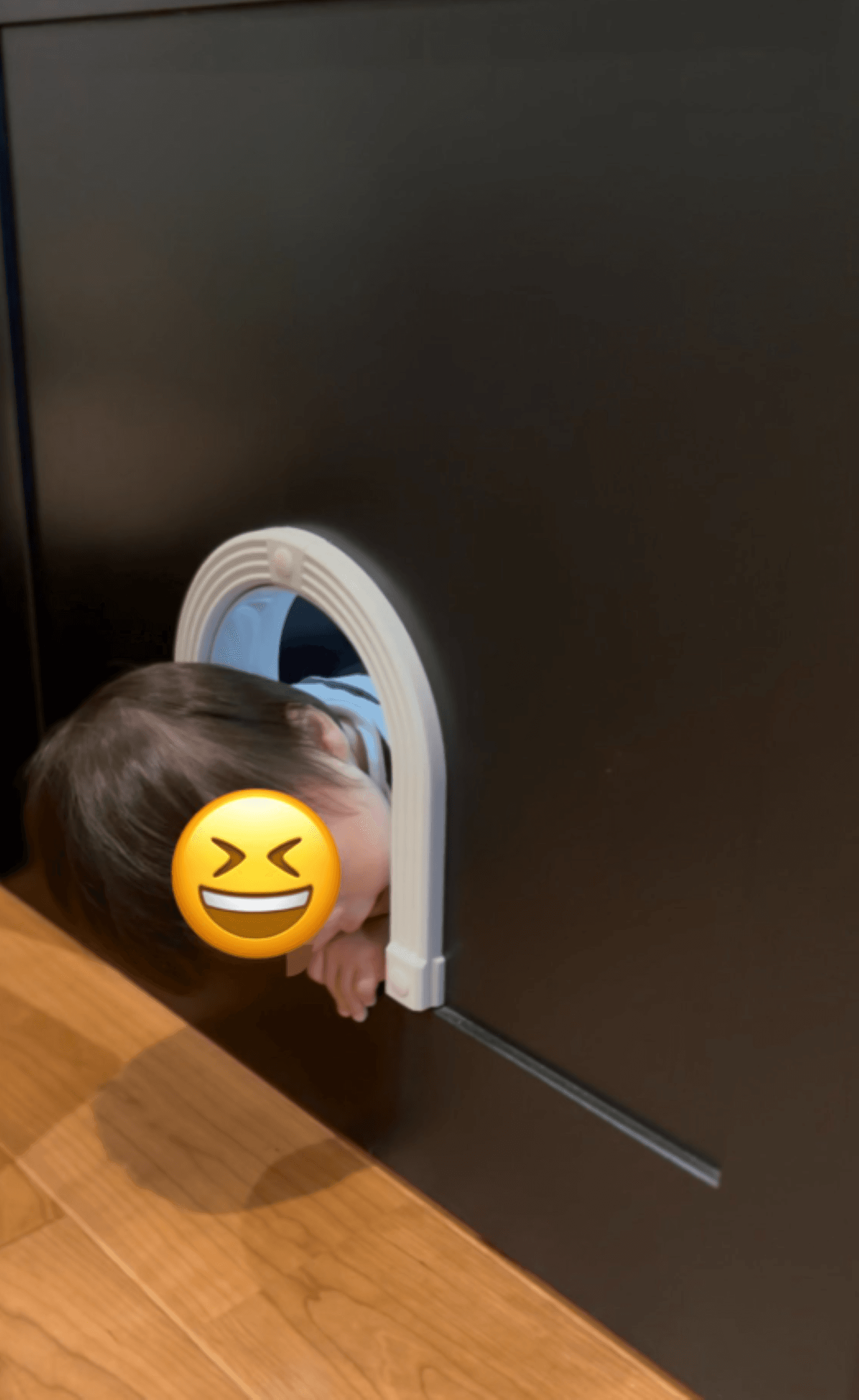 頭がヒョッコリ！こちら側の可愛さもたまらない 提供：K①YEAR