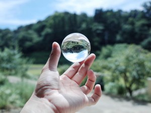 ふと帰りたくなるあの庭は、自分を肯定してくれる宇宙みたいな存在