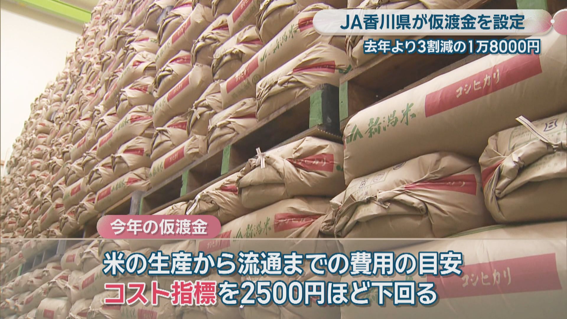 JA香川県 県産コシヒカリの仮渡金を前年より3割減の1万8000円に 農家
