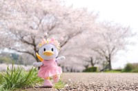 桜の木をバックにポーズを決める「ぬいもーず」のデイジー（ちぇゆさん提供）