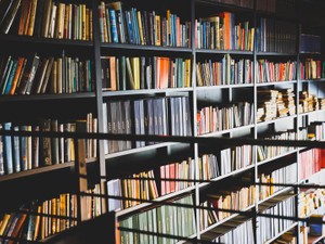 「虫、飛んでますよね」そんな会話で出会った男は大切な存在となった