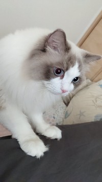 ぼくもあそぶ！！！