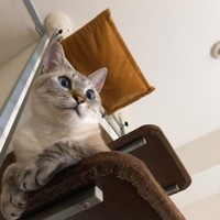 目も顔も全部丸い可愛いhokuくん