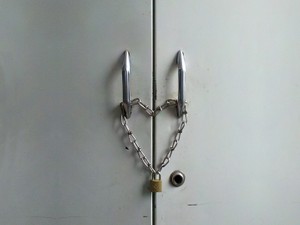 感情のある人間と関わりを断ちたい私は、人間の感情に救われている