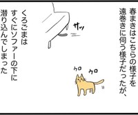 最初は警戒されまくりだった（イゴカオリさん提供）