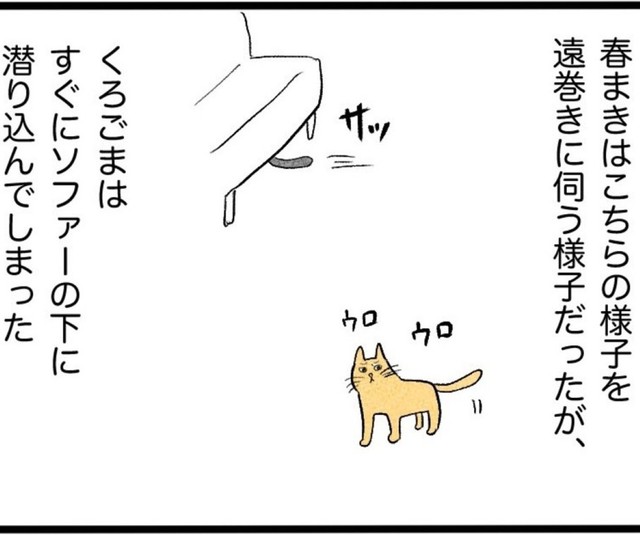 最初は警戒されまくりだった（イゴカオリさん提供）