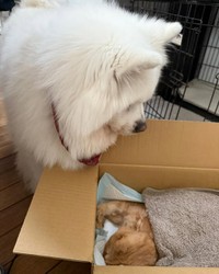 つるの剛士さん　インスタグラムより引用
