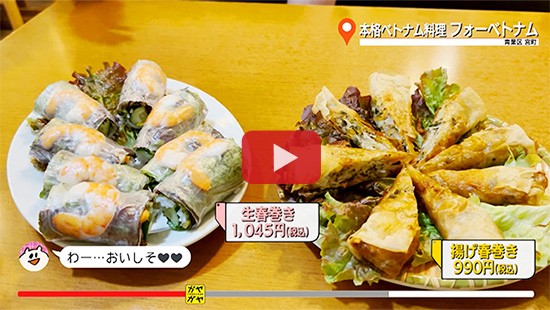 #709本格ベトナム料理 フォーベトナム②