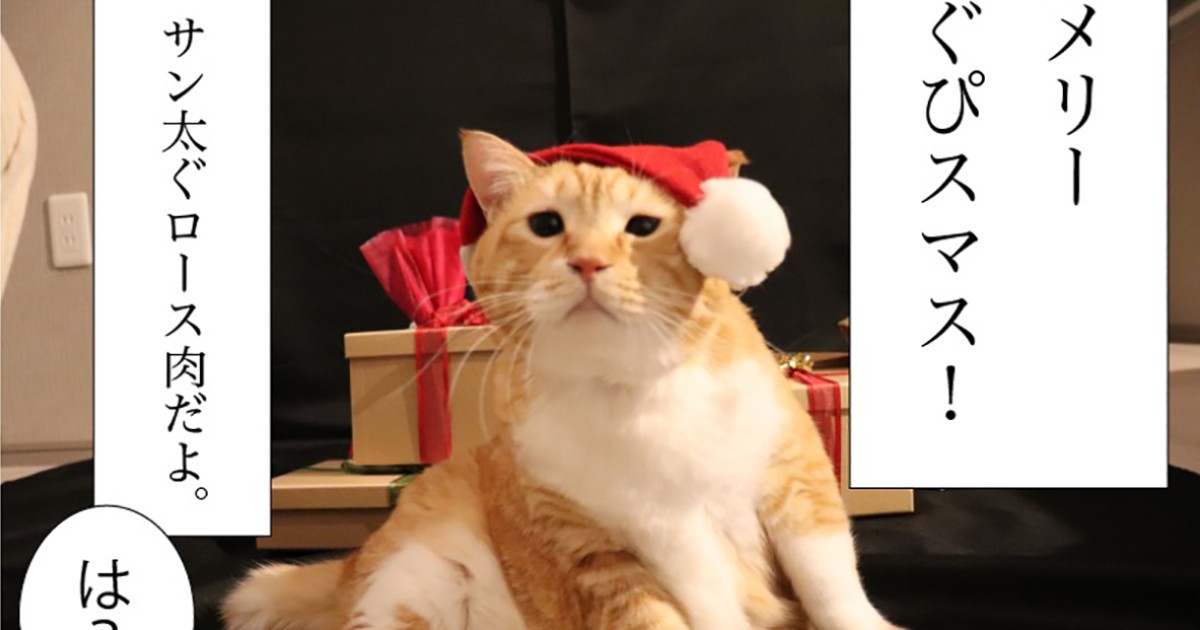 お太りさま猫ぐっぴーからクリスマスプレゼント 用意されてたはずが