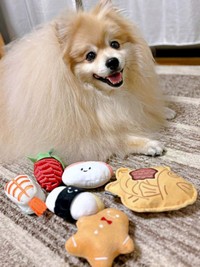 大好きなおもちゃがせいぞろい！ にこにこ顔のぽめおくん（画像提供：妖（よう）さん）