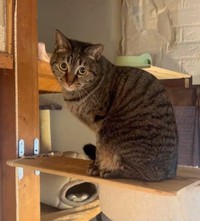 カメラ目線でポーズ（画像：大日本動物愛護帝国さん）