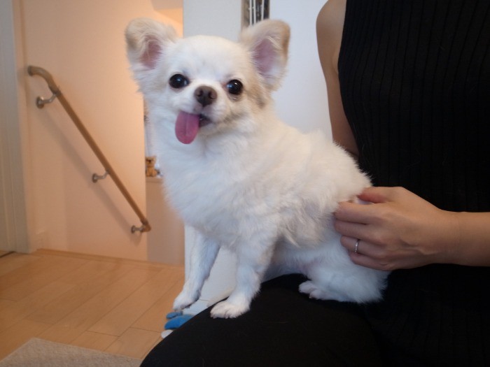 ママの膝の上でごきげんさん