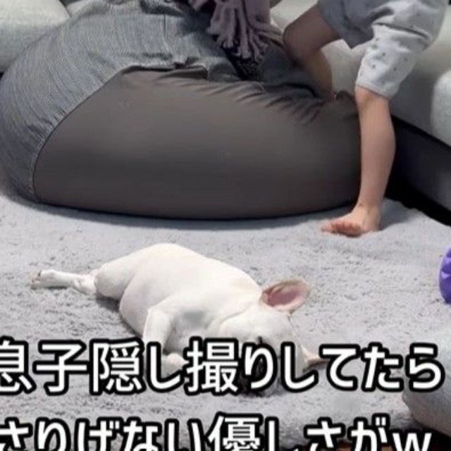 自然に毛布を手に取る息子くん…！（提供：＠burufamiさん）
