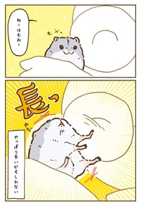 【漫画】「ハムスターって実は腕長いのでは……？」（提供：遊ハちさん）