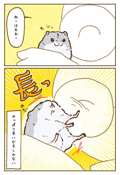 【漫画】「ハムスターって実は腕長いのでは……？」（提供：遊ハちさん）