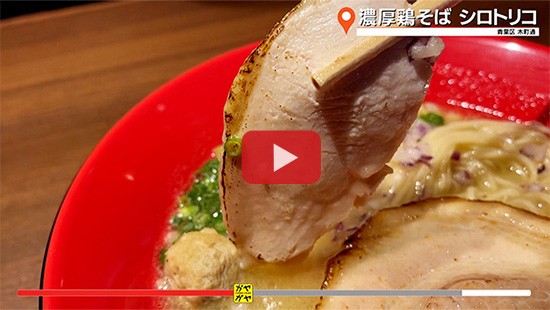 #824濃厚鶏そば シロトリコ