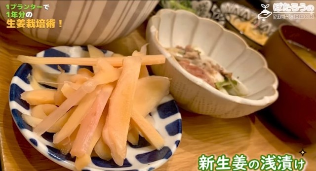 美味しそうに出来上がった新生姜の浅漬け／YouTubeチャンネル「ぽたろうの家庭菜園HACK」より