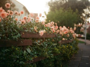 高校で出会った、噂になるほど賢かった彼女。格差を感じながらも彼女の向上心に憧れた