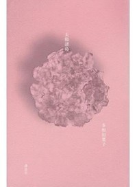 「太陽諸島」書評　多様な出自と言語で境界溶かす