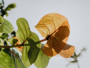 語彙力も足りなかったけど、書き切った。あの頃の私からもらった勇気