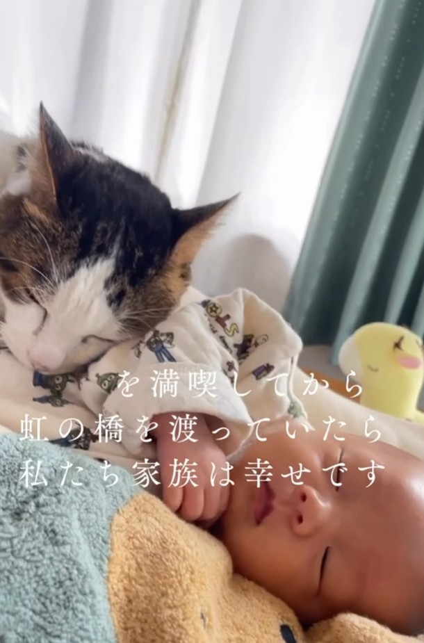 息子さんに寄り添う生前のまぐろくん（「息子君きなこしらたまごましおまぐろ」さん提供、Instagramよりキャプチャ撮影）