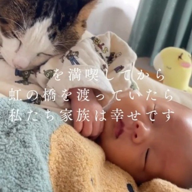 息子さんに寄り添う生前のまぐろくん（「息子君きなこしらたまごましおまぐろ」さん提供、Instagramよりキャプチャ撮影）