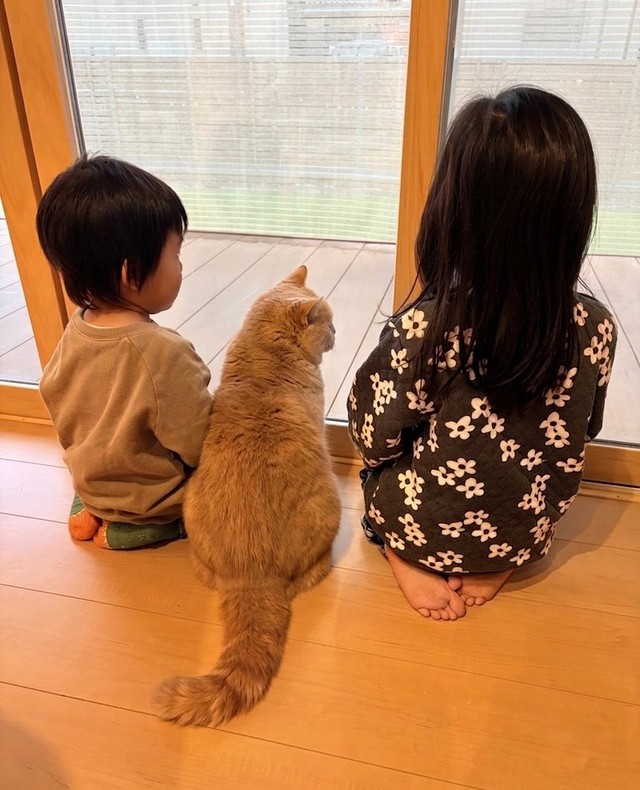 あれから2年半、娘さんと猫ちゃんに加えて息子さんも一緒に（提供：Yuu☺︎さん）
