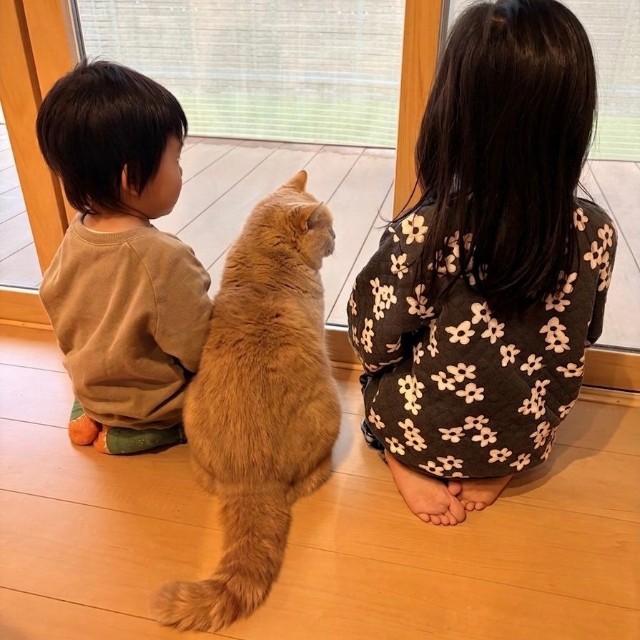 あれから2年半、娘さんと猫ちゃんに加えて息子さんも一緒に（提供：Yuu☺︎さん）