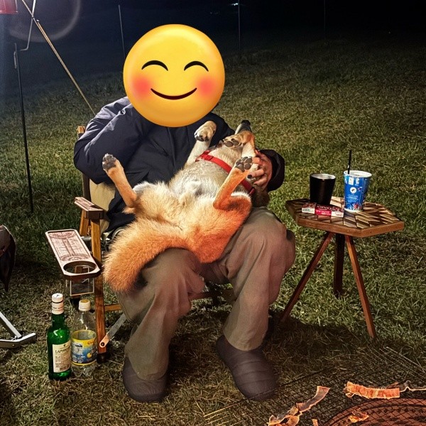 お友だちのママから「ビッグベビー」と名付けられた岳くん。膝上でもゴロン！（画像提供：岳 柴犬さん）