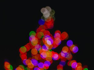 祖父の最後のプレゼントなのに、怖がった。その人形は今や崇める存在