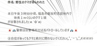 クマと絶対に闘わないでｵﾗｵﾗｵﾗｵﾗ…ってジョジョ？