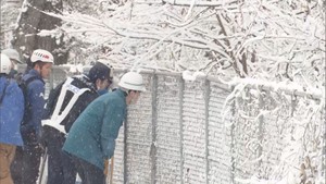 【捕獲】仙台市泉区　住宅街の公園で目撃のクマ　捕獲