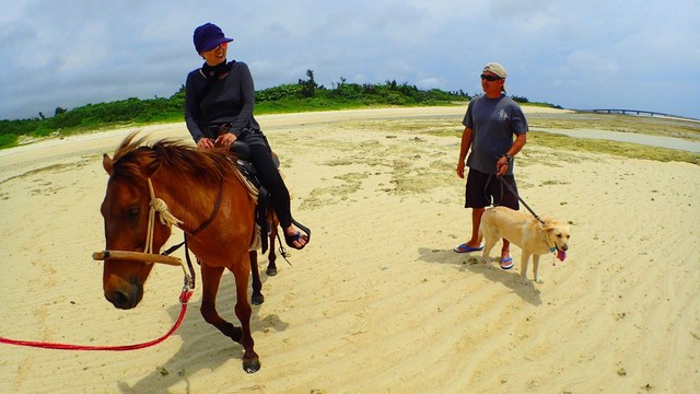 2代目盲導犬・ベーチェルと沖縄へ飛び、乗馬体験（写真提供=セアまり）