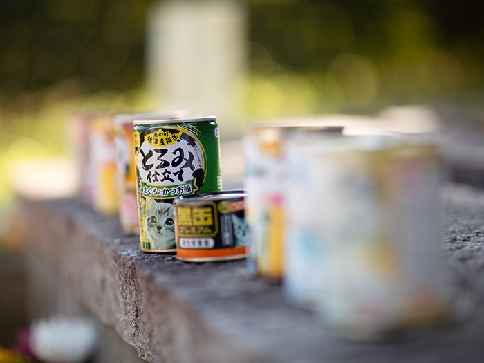 慰霊碑には、フードが供えられていた